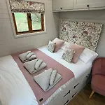 Little Orchard Retreats خيمة فخمة هاروغايت