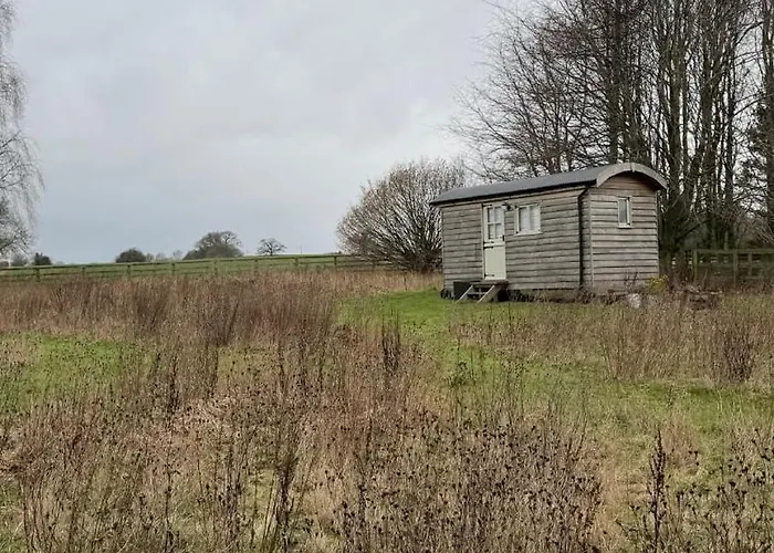 Little Orchard Retreats Luxe tent